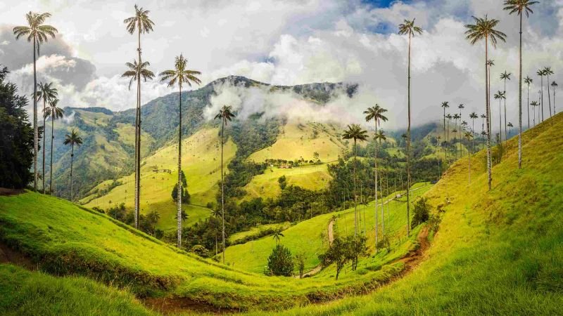 Colombia