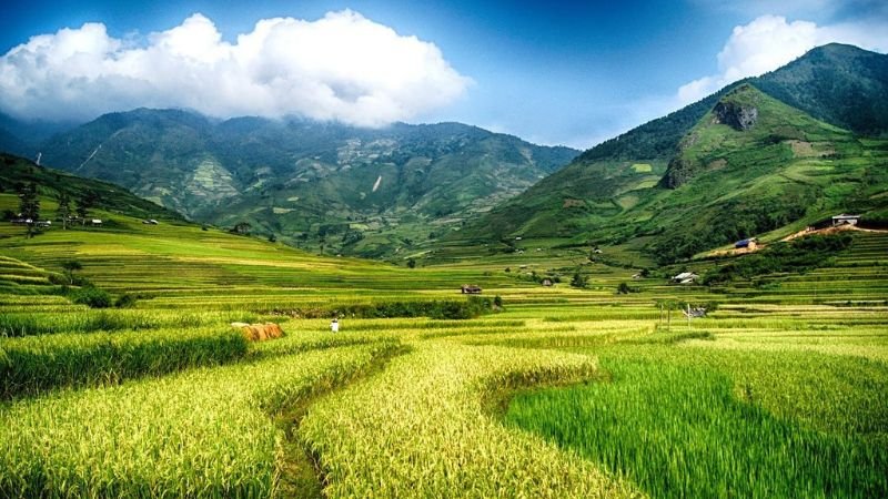 Yen Bai