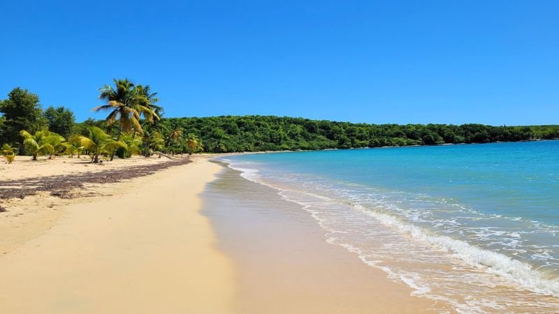Vieques